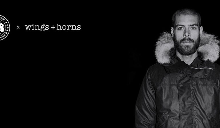 Canada Goose and Wings + Horns