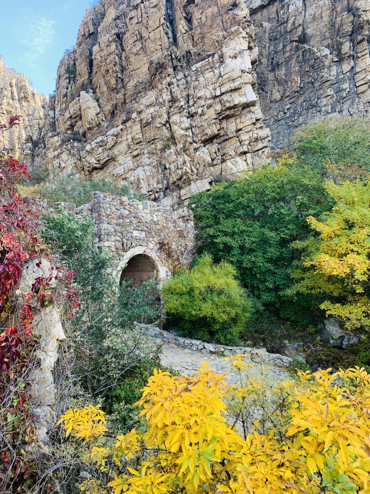 Big Black Mountain Dalian, Liaoning during the summer, leaves changing colors 