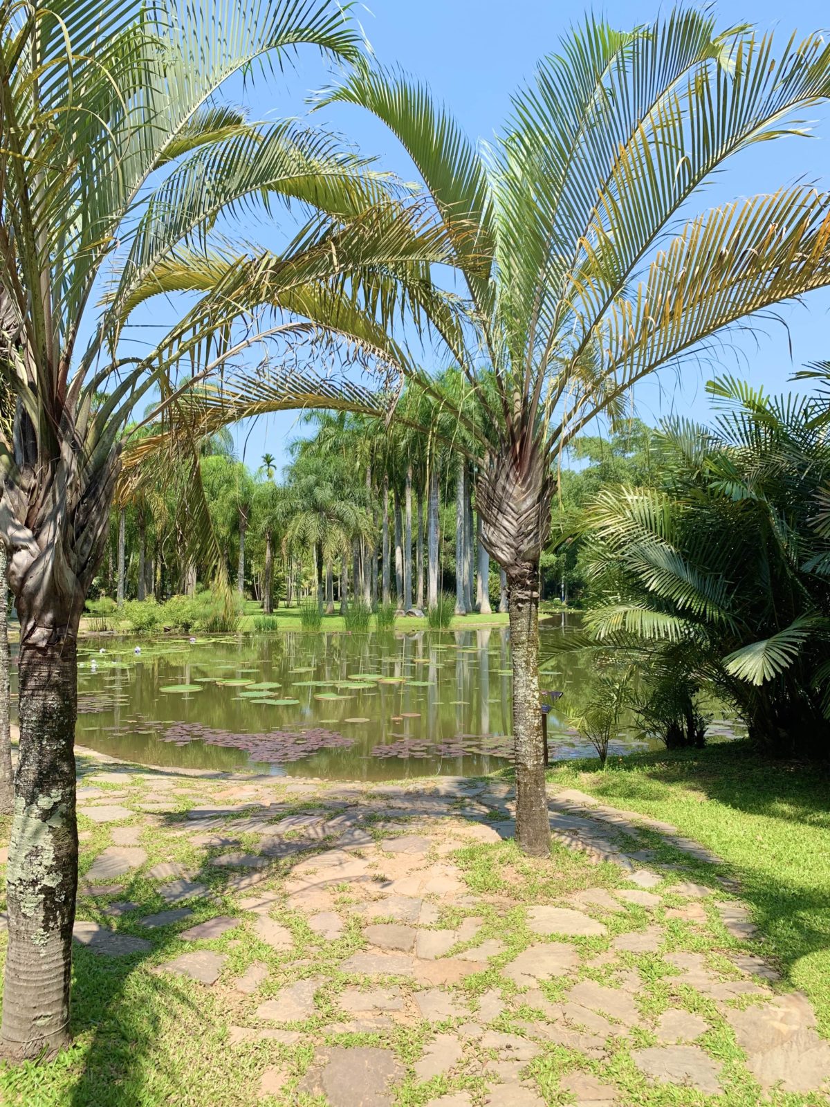 Xishuangbanna Tropical Botanical Garden