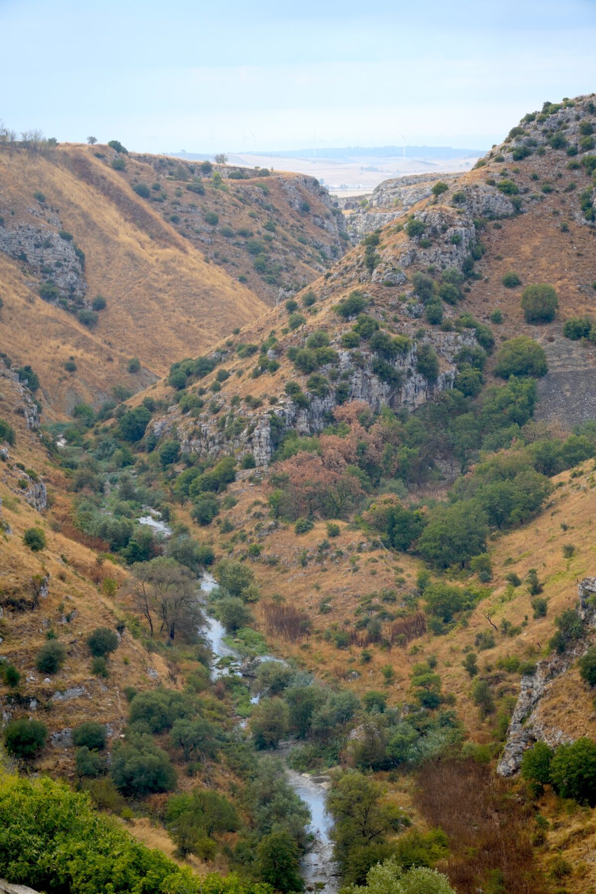 Afternoon shot of the Torrente Gravina Ravine Matera in southern Italy