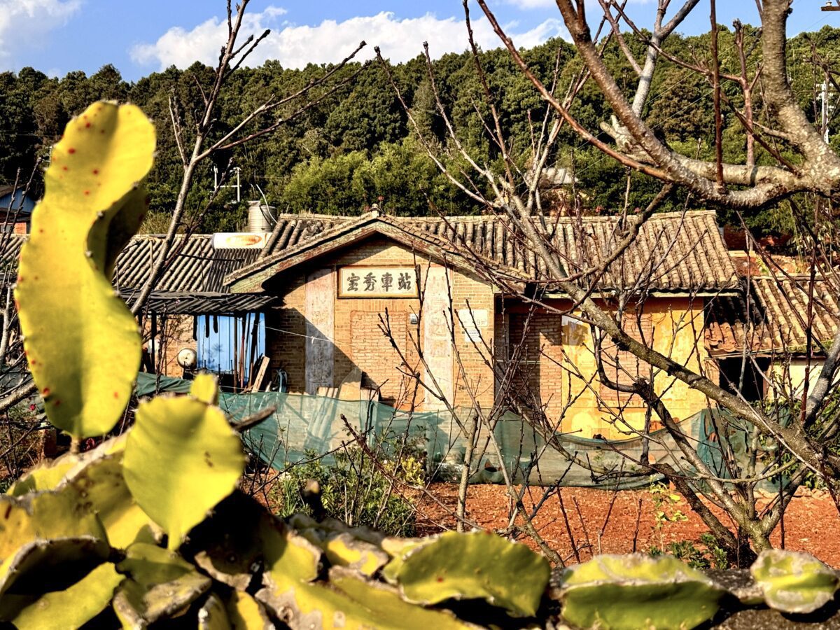 Baoxiu train station behind dragonfruit plants in Shiping, Yunnan