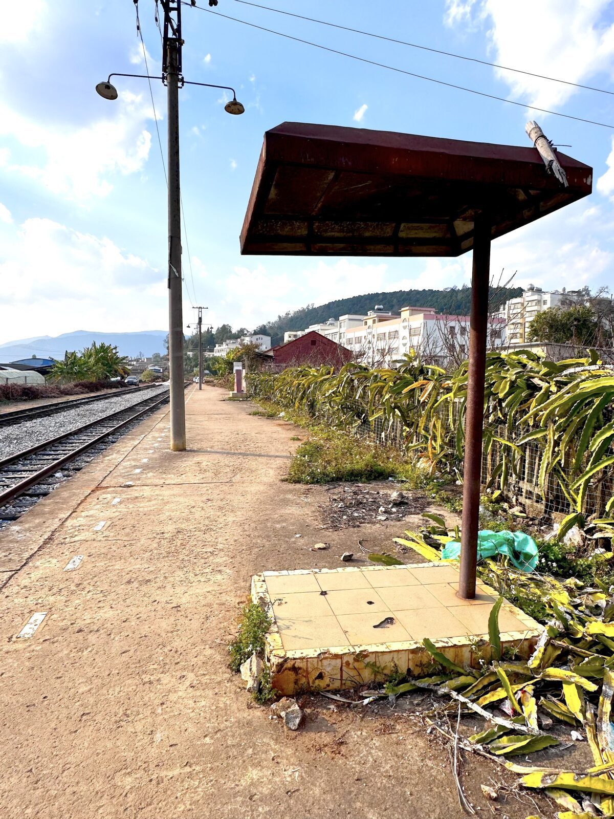 Overhead canopy of a rest spot along the Gebishi Railway